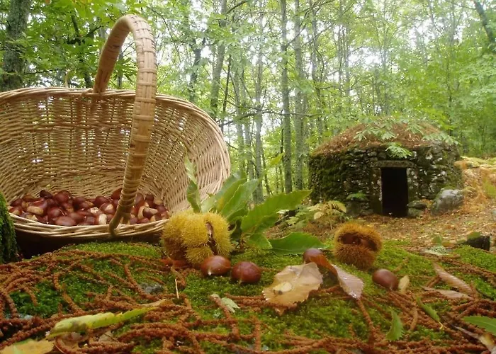 Vakantiehuis Margarita I